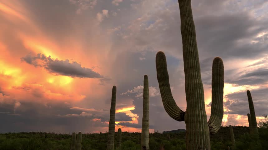Clouds gather over a desert at sunset