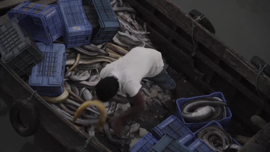 A man loads seafood into a container while working seaside