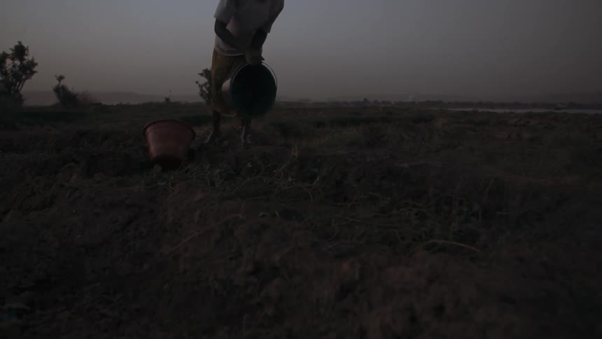 A bucket of water is dumped in a dirt field