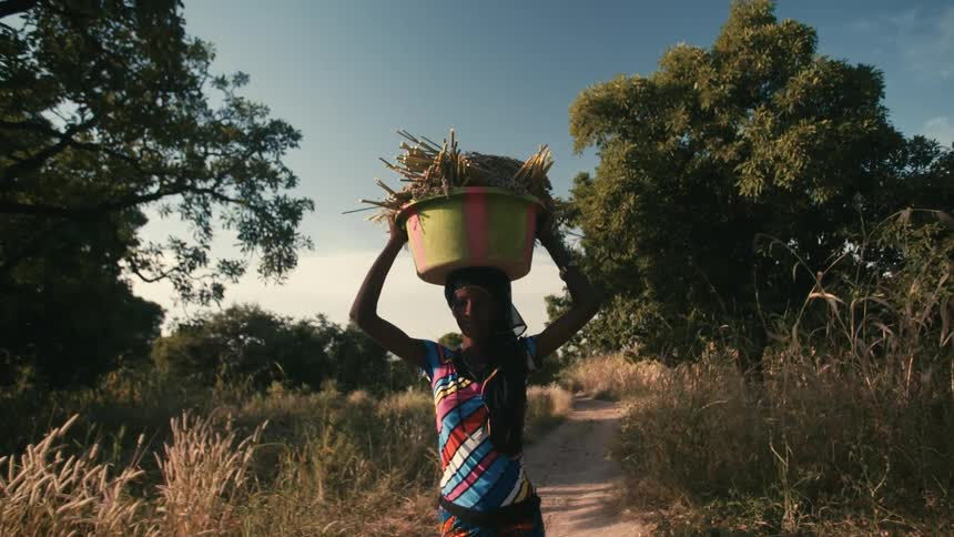 Woman walks with a basket full of plants on her head