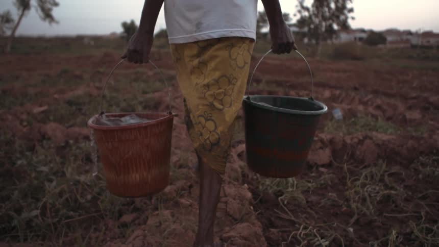 A woman carries water buckets to a muddy garden