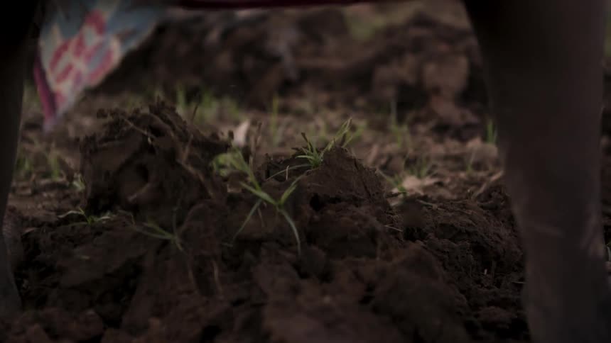 A person uses a tool to dig in a dirt field
