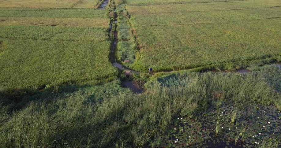 A person stands by a stream of water near farm fields