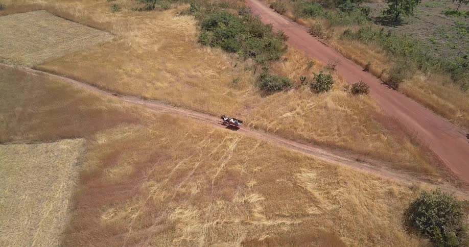 A horse and wagon are traveling down the dirt road