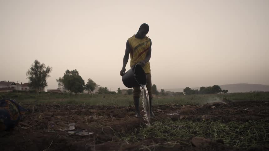 A man waters some crops