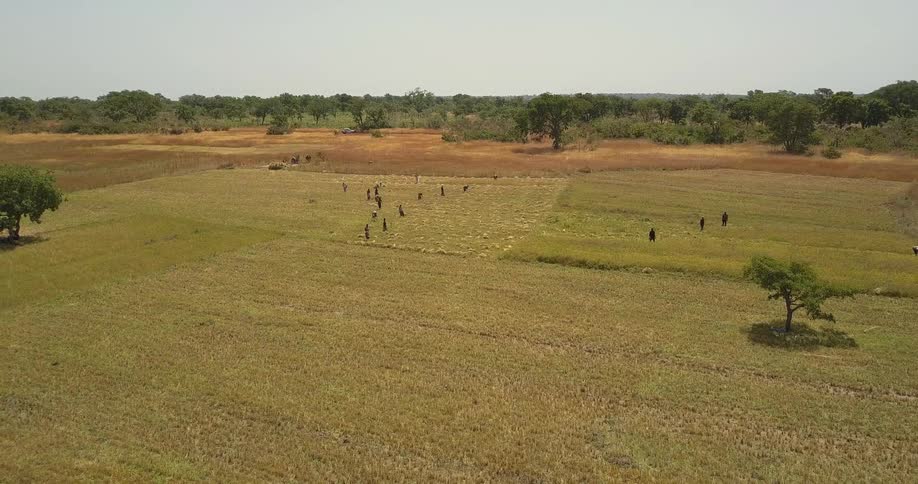 People walk in a large field