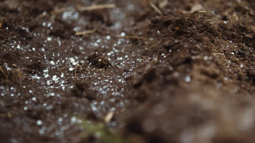 Fertilizer is tossed onto the ground