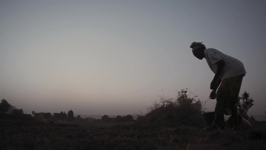 A person dumps a bucket of water into a dirt field at sunset