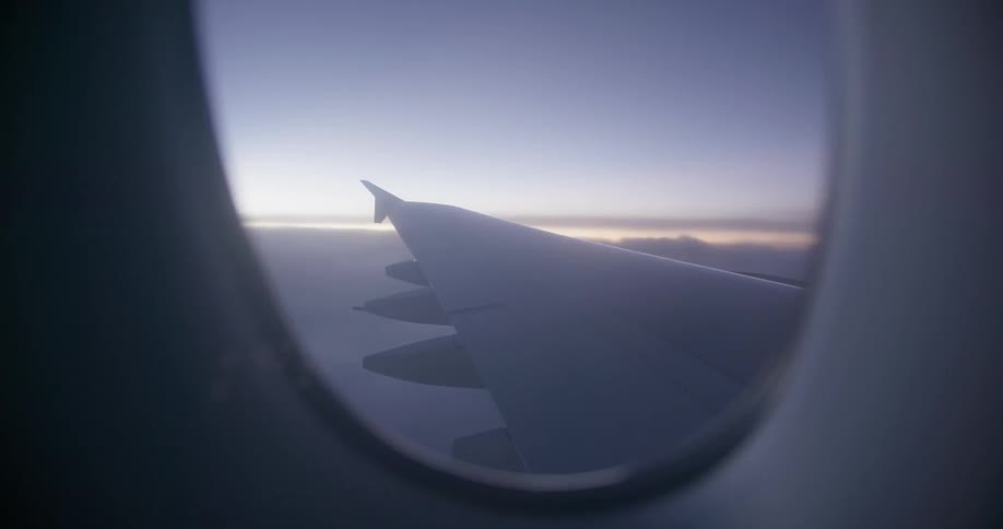 An airplane flies in the sky