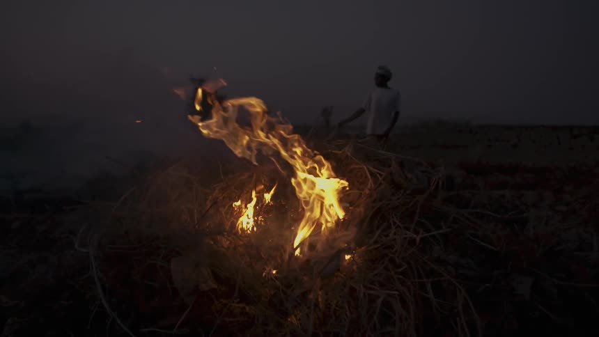 A fire burns in a field at night