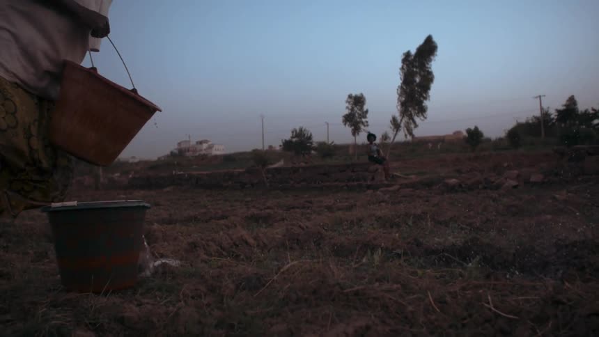 A woman throws water on grass