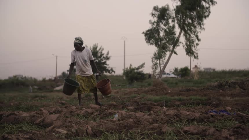 A woman carries buckets in a field