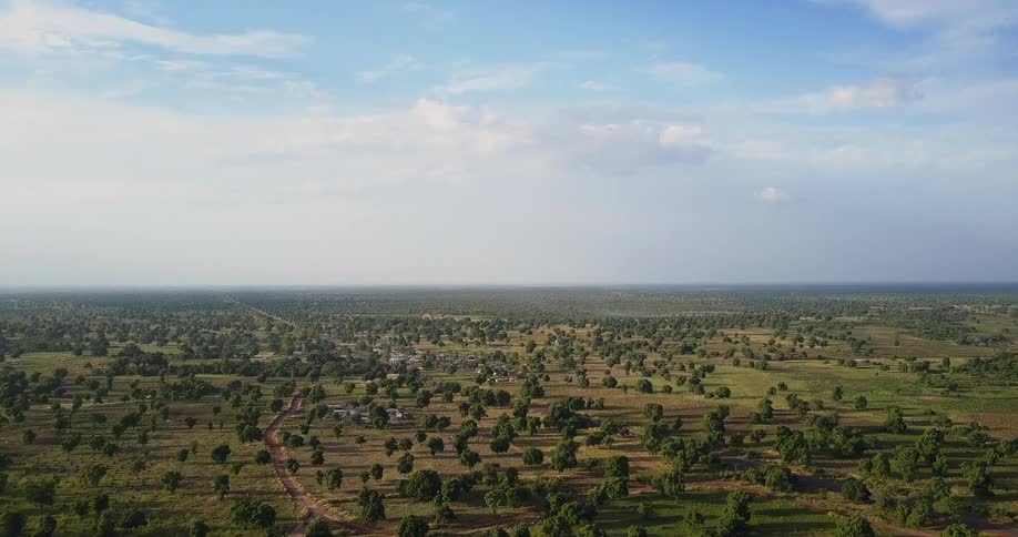 White clouds hover over a vast plane dotted with trees