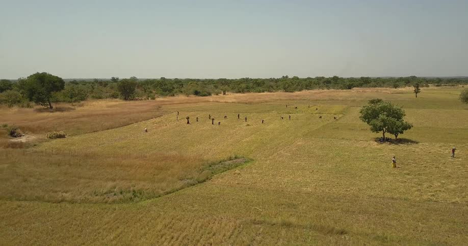 People are working the farms below