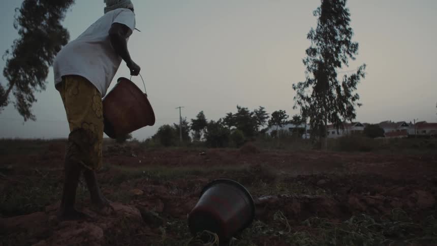 A throws a bucket of water on a farm field