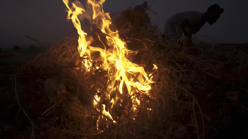A farm worker throws clipping onto a burning pile