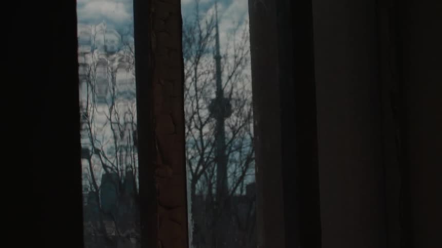 Trees reflect on a window