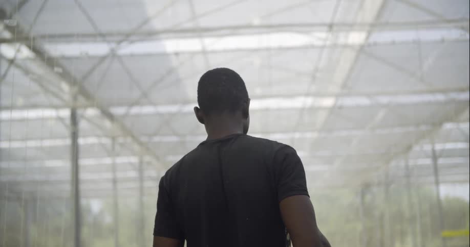 Man walking through greenhouse during the day