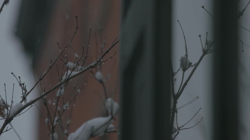 Snow falls in a city