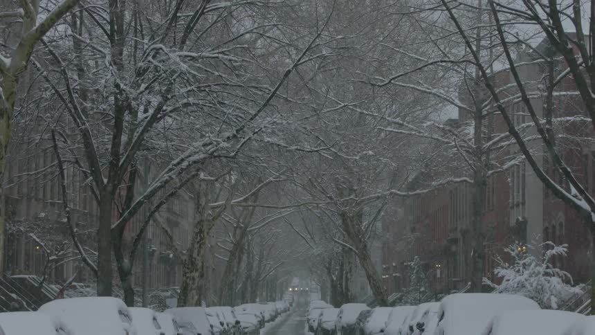 Snow falls on cars lined up on the road