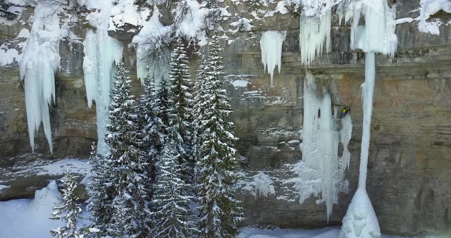 The tall trees are covered with ice near the ice cliff