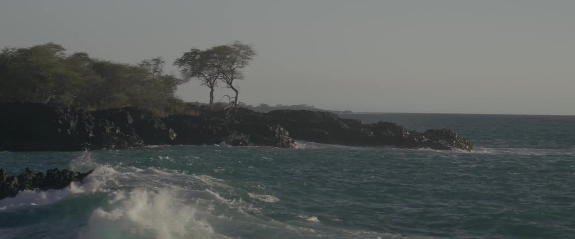 The ocean tide coming in near some rocks and trees on a cloudy day