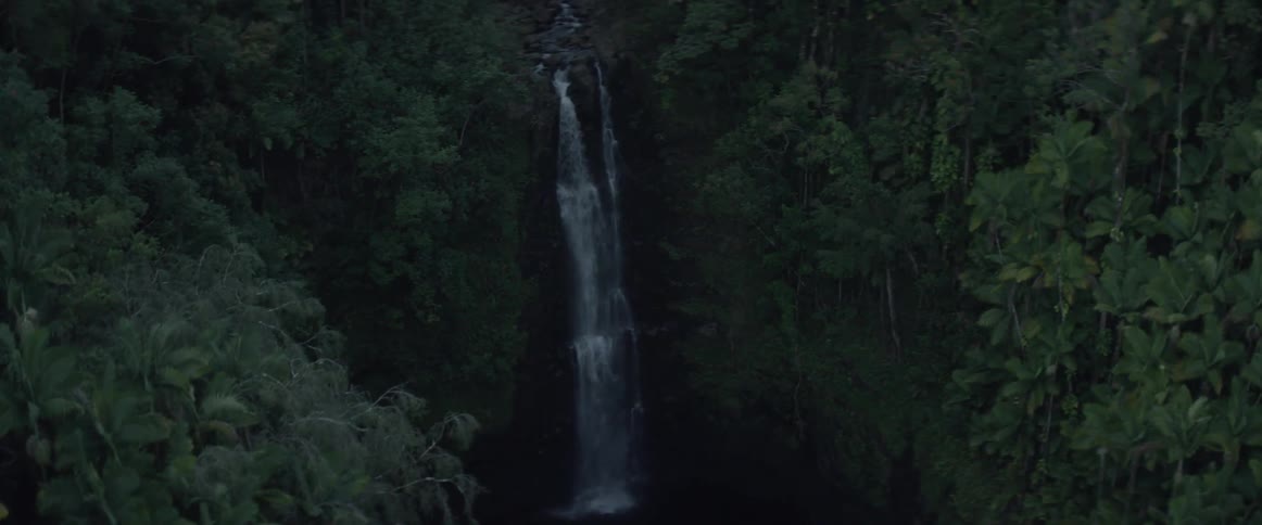 Water falling into a small pool surrounded by trees