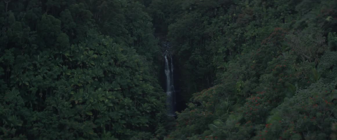 A waterfall in a forest
