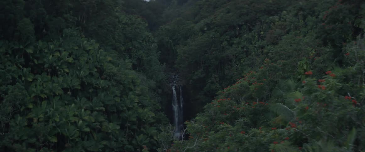 A waterfall cascades over a cliff surrounded by vegetation