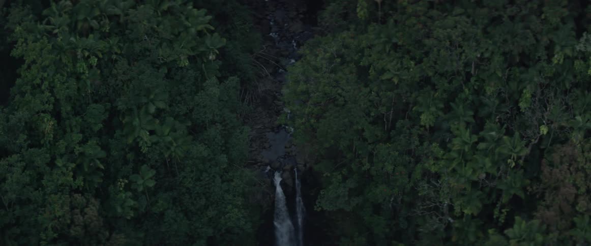 The forest below has a waterfall running through the middle