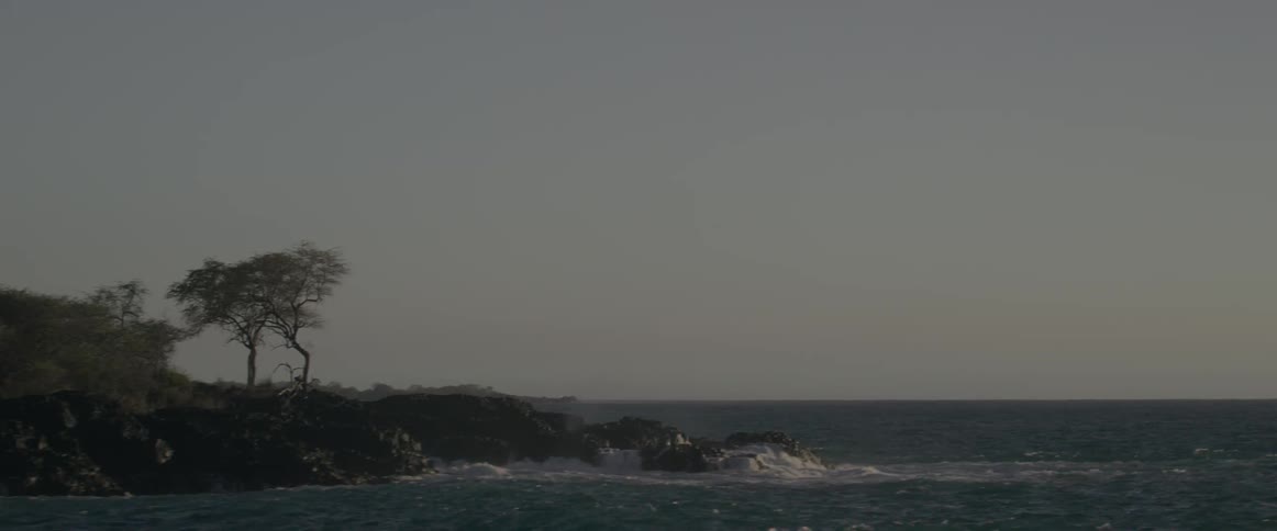 Ocean waves crash into a rocky shore