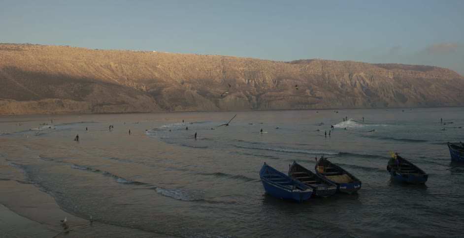 Boats are on the sand of the beach and birds are flying all over