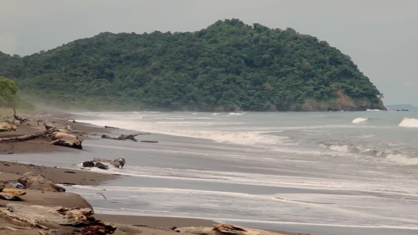 Ocean waves wash ashore a beach