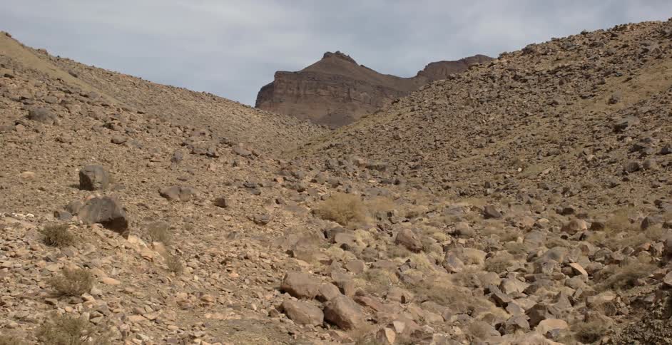 Rocks and shrubs cover a hillside in the wilderness