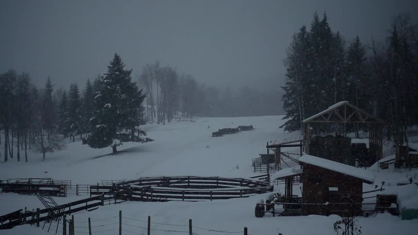 Snow is steadily falling on this farm