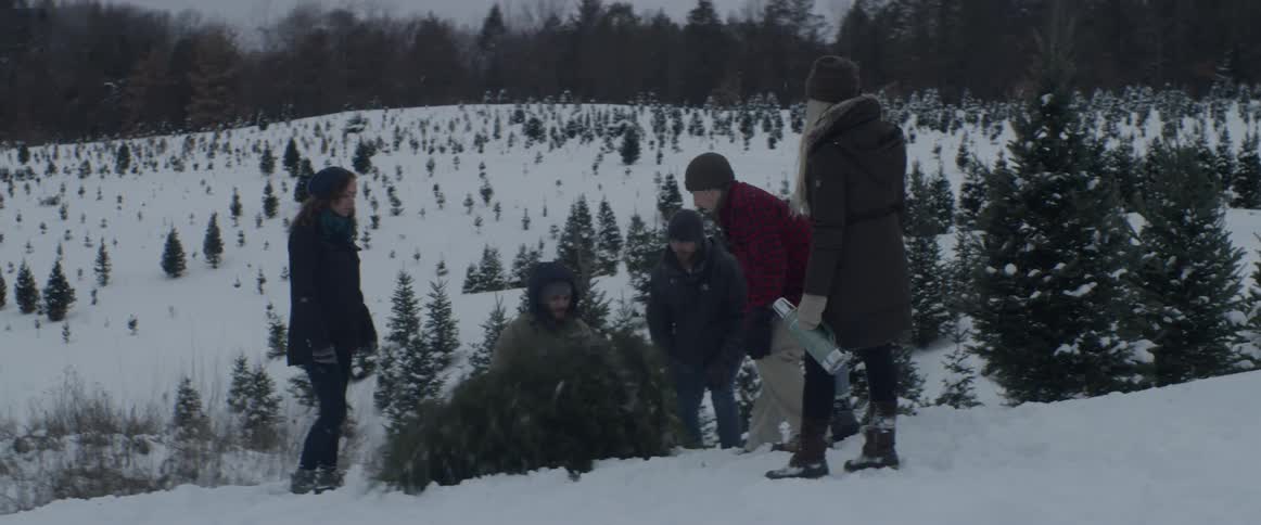 A family cuts down a christmas tree on a snowy day