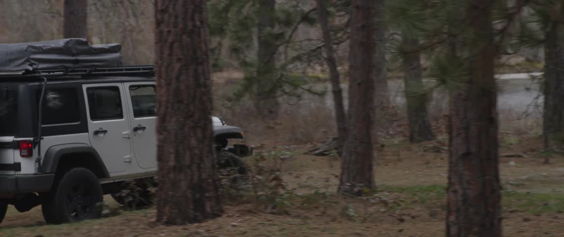 A jeep rides through the forest