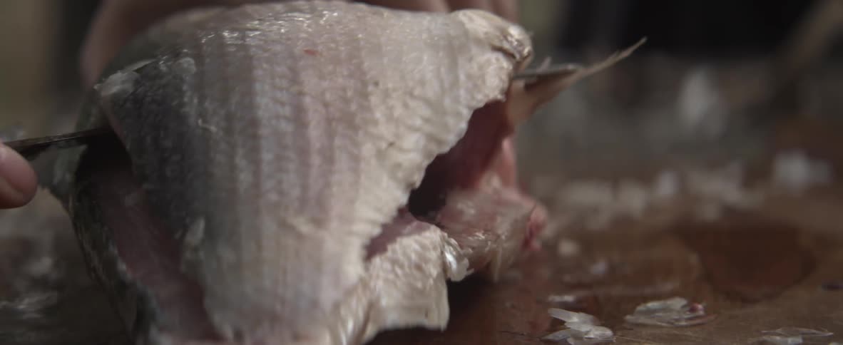 A chef fillets a fish