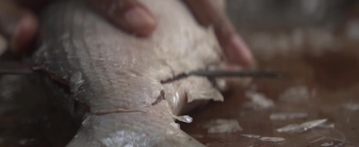 A knife slices through a fish