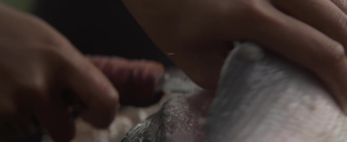 Fish being filleted close up