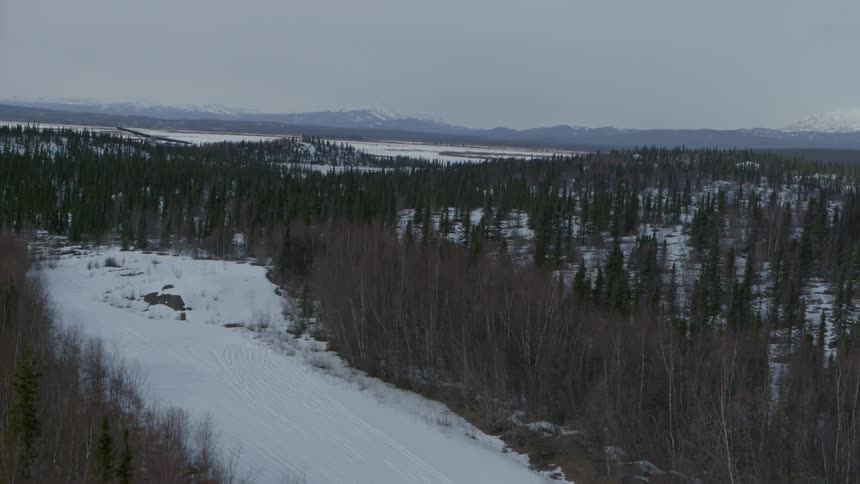 An airplane takes off from a snow covered runway in a forest