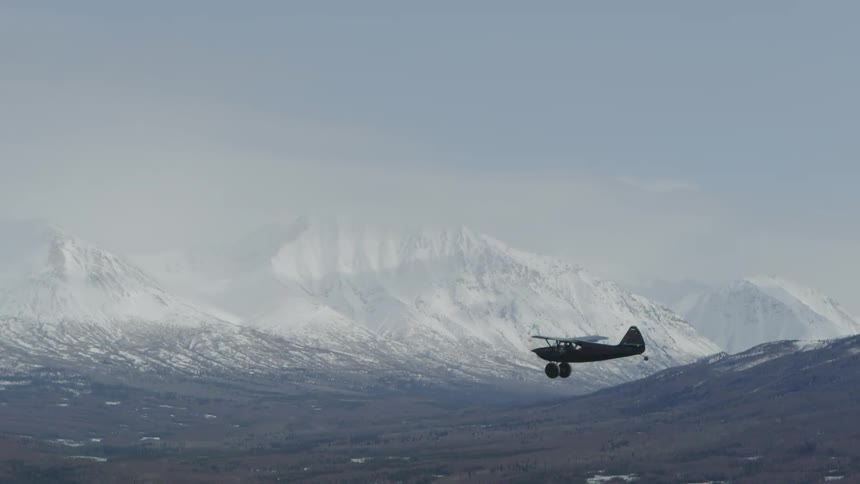 plane flying over forest in Alaska
