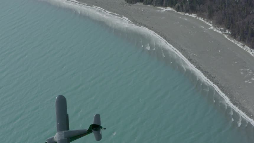 A plane flies over a beach