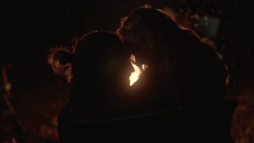 Two people together by a lit campfire