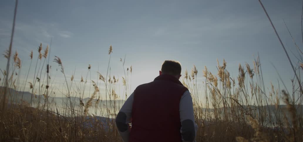 A man walks amid cattail stalks in a natural setting