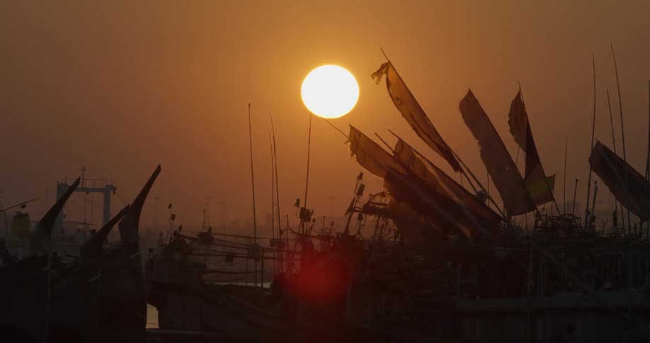 Boats parked in a harbor at sunset