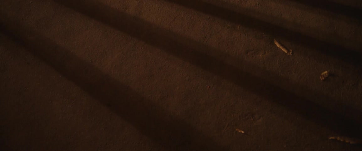 Shadows form patterns on the wall