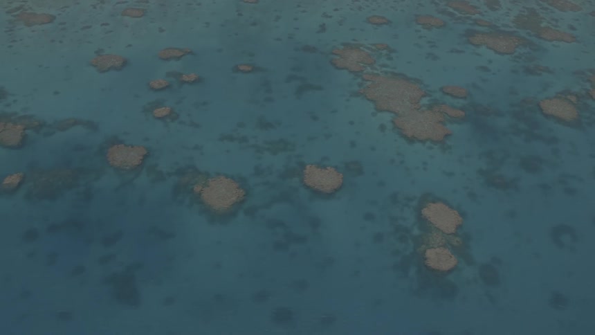 Overhead view of water and dirt