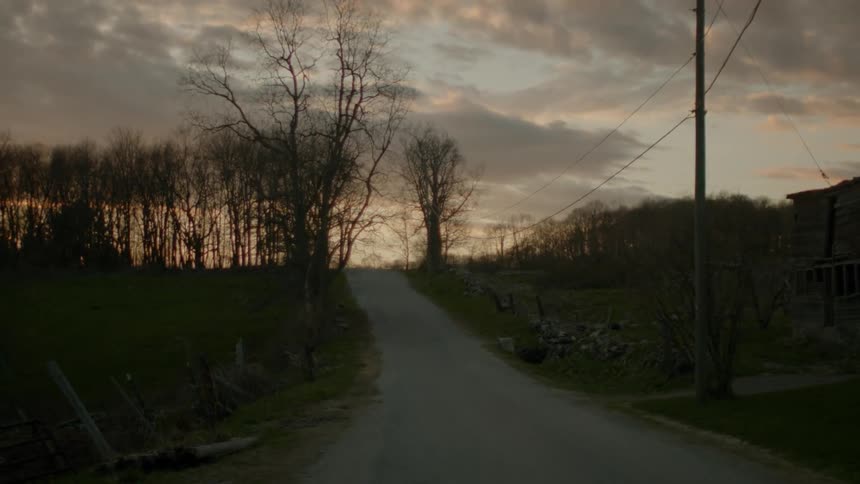 A narrow road with leafless trees at sunset