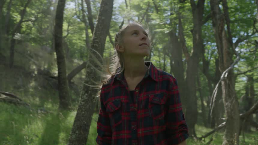 A woman is hiking through the woods looking up at the sky